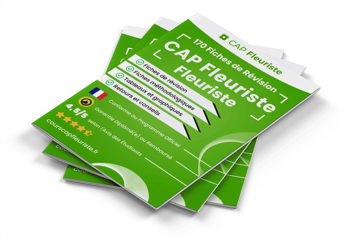 Image produit fiches-de-revision